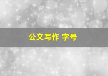 公文写作 字号